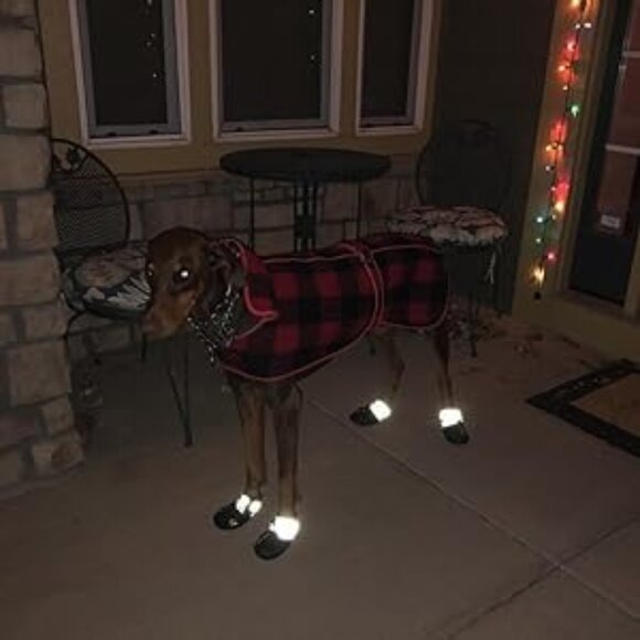 Dog booties - Qumypets - Black Size 1 ~ Rugged Neoprene Paw Protection Boots - Picture 7 of 8